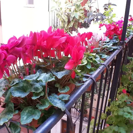 Lilium House Apts * Rzym