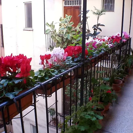 Lilium House Apts Rzym