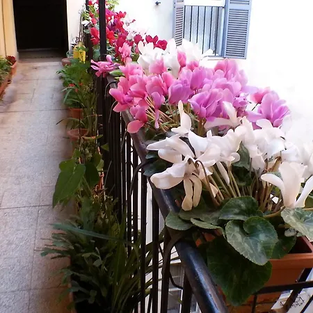 Apartament Lilium House Apts *